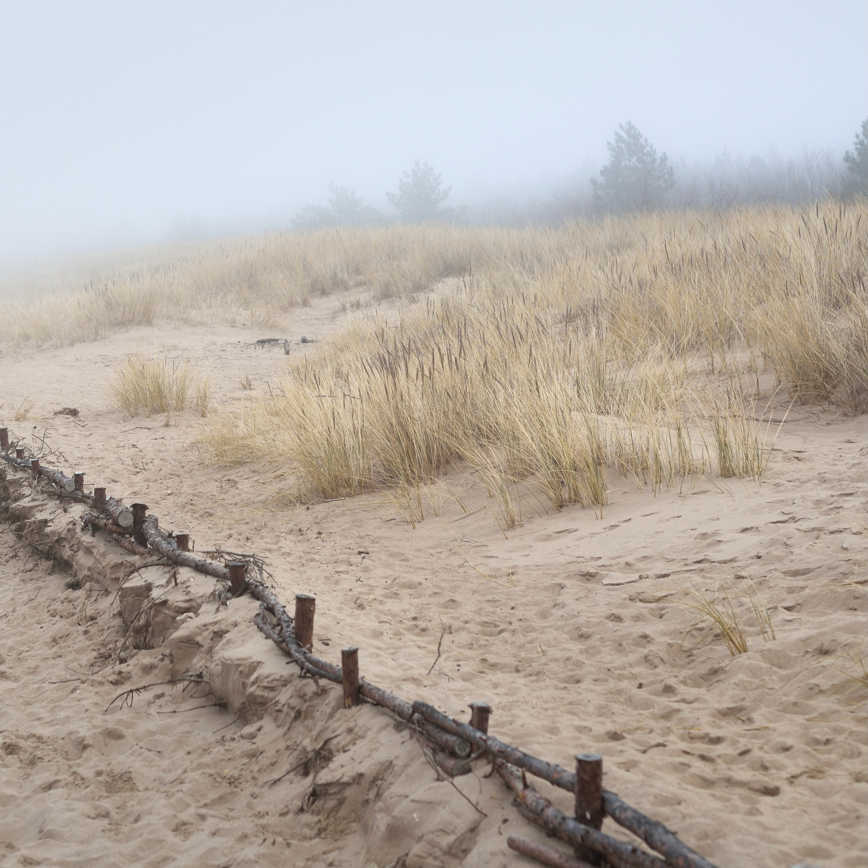 Photograph of a winter shore.